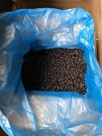 Frostbeeren offener Karton Produktsicht 10kg