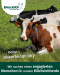 Bauckhof_Amelinghausen_Stellenanzeige_Milchviehherde_Social_Media_2025