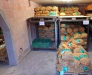 Gesackte_Kartoffeln_im_Kartoffelkeller-P1201172_v1