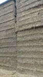 IMG-20241029-WA0008