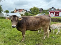 IMG_0056