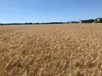 IMG_1788