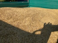 IMG_9995