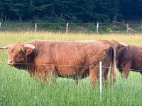 IMG-20250713-WA0000