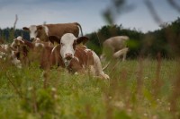 KleinerIMG_2554