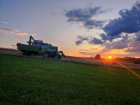 Biotriticale-Dicaprio 2025