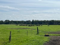 IMG_3847
