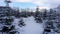 IMG-20190130-WA0007