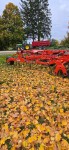 Prolander Feingrubber (4) Prolander Feingrubber (4)
