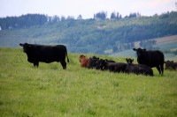 IMG_7672 IMG_7672
