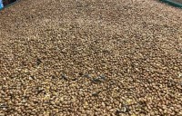 Mittel (Bildschirmfoto 2025-11-12 um 05.18.37)