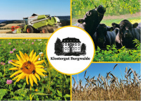 Bild Postkarte Bild Postkarte