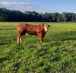 Screenshot_20240505_215809_WhatsApp Screenshot_20240505_215809_WhatsApp