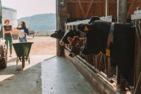 230622_LH_Rocklinghausen_print-13 230622_LH_Rocklinghausen_print-13