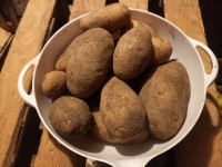 20260127_204749 20260127_204749