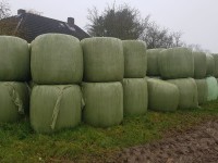 20201109_103654 20201109_103654