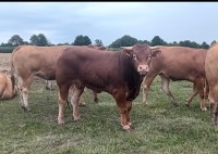 Screenshot_20251228_153051_WhatsApp