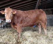 WhatsApp Image 2026-02-03 at 22.11.31 WhatsApp Image 2026-02-03 at 22.11.31