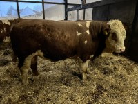 IMG-20260330-WA0000 IMG-20260330-WA0000