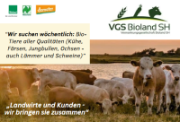 Screenshot 2026-03-30 121003