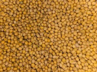 d6b83e22-6578-494b-8a73-a75c36c26013