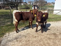 Bebe und Bobo Bild 1