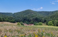 Hof nach Hügel 2023 Hof nach Hügel 2023