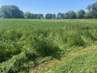 IMG_8409 IMG_8409