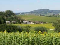 HofGasswies_7616 HofGasswies_7616