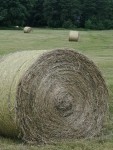 IMG_20210610_081437 IMG_20210610_081437