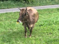 IMG_0584 IMG_0584