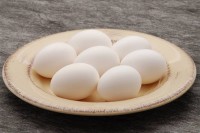 eier eier