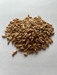 IMG_1660 IMG_1660