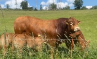 IMG_5795 IMG_5795